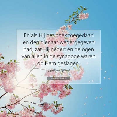 Picture 07 - Lukas 4:20 NLD - En als Hij het boek toegedaan en den dienaar - Bible Verse Picture