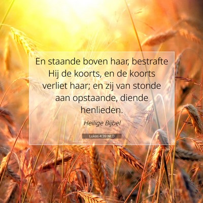 Picture 07 - Lukas 4:39 NLD - En staande boven haar, bestrafte Hij de koorts, - Bible Verse Picture