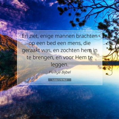 Picture 07 - Lukas 5:18 NLD - En ziet, enige mannen brachten op een bed een - Bible Verse Picture