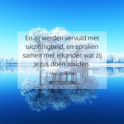 Picture 07 - Lukas 6:11 NLD - En zij werden vervuld met uitzinnigheid, en - Bible Verse Picture