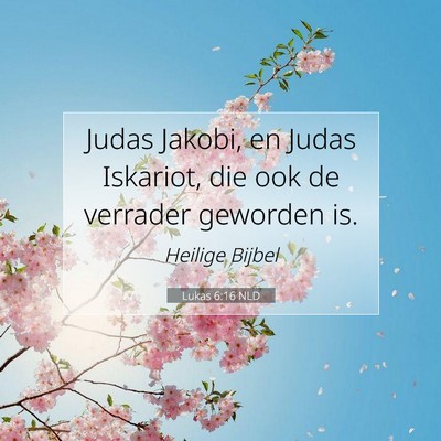 Picture 07 - Lukas 6:16 NLD - Judas Jakobi, en Judas Iskariot, die ook de - Bible Verse Picture