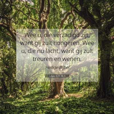 Picture 07 - Lukas 6:25 NLD - Wee u, die verzadigd zijt, want gij zult - Bible Verse Picture