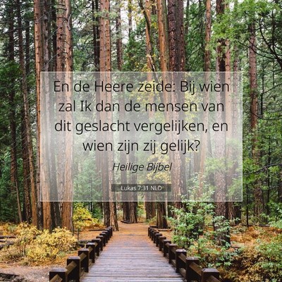 Picture 07 - Lukas 7:31 NLD - En de Heere zeide: Bij wien zal Ik dan de mensen - Bible Verse Picture