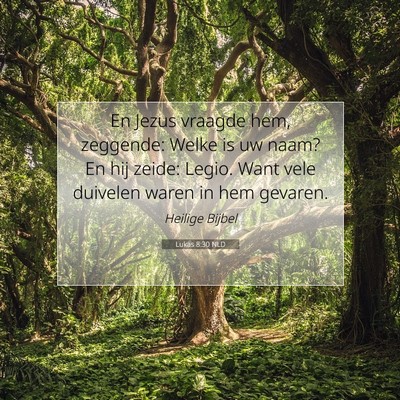 Picture 07 - Lukas 8:30 NLD - En Jezus vraagde hem, zeggende: Welke is uw naam? - Bible Verse Picture