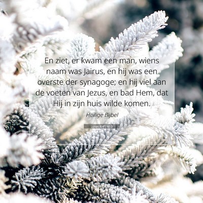 Picture 07 - Lukas 8:41 NLD - En ziet, er kwam een man, wiens naam was Jairus, - Bible Verse Picture