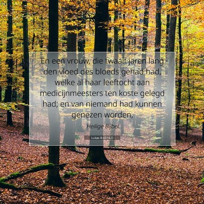 Picture 07 - Lukas 8:43 NLD - En een vrouw, die twaalf jaren lang den vloed des - Bible Verse Picture