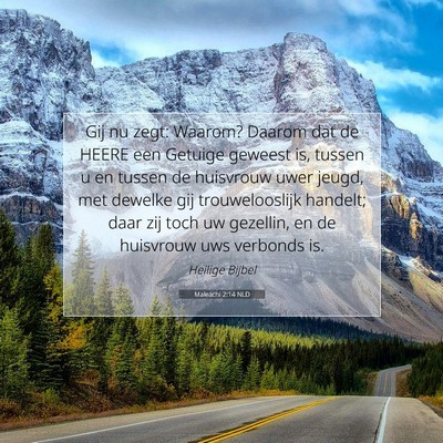 Picture 07 - Maleachi 2:14 NLD - Gij nu zegt: Waarom? Daarom dat de HEERE een - Bible Verse Picture