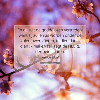 Picture 07 - Maleachi 4:3 NLD - En gij zult de goddelozen vertreden; want zij - Bible Verse Picture