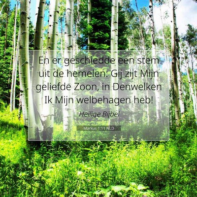 Picture 07 - Markus 1:11 NLD - En er geschiedde een stem uit de hemelen: Gij - Bible Verse Picture
