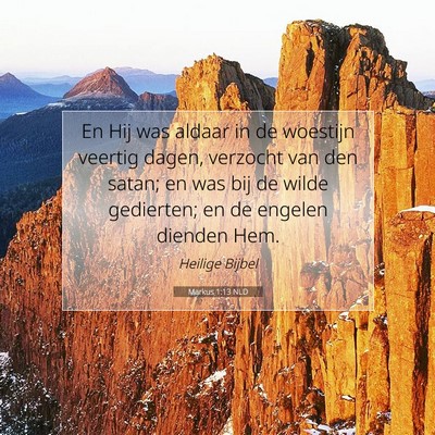Picture 07 - Markus 1:13 NLD - En Hij was aldaar in de woestijn veertig dagen, - Bible Verse Picture