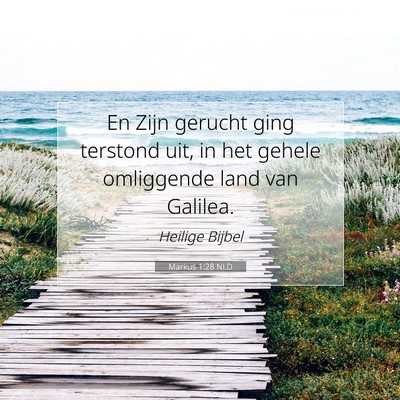 Picture 07 - Markus 1:28 NLD - En Zijn gerucht ging terstond uit, in het gehele - Bible Verse Picture