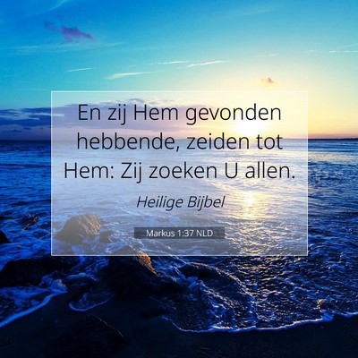 Picture 07 - Markus 1:37 NLD - En zij Hem gevonden hebbende, zeiden tot Hem: Zij - Bible Verse Picture