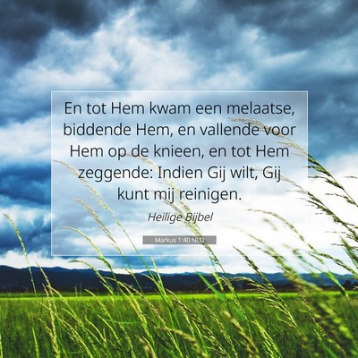 Picture 07 - Markus 1:40 NLD - En tot Hem kwam een melaatse, biddende Hem, en - Bible Verse Picture