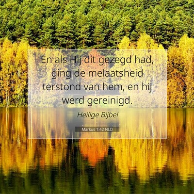 Picture 07 - Markus 1:42 NLD - En als Hij dit gezegd had, ging de melaatsheid - Bible Verse Picture