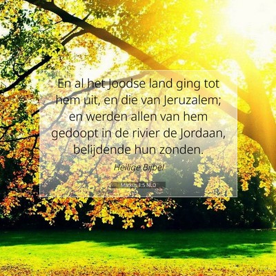 Picture 07 - Markus 1:5 NLD - En al het Joodse land ging tot hem uit, en die - Bible Verse Picture