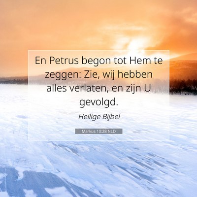 Picture 07 - Markus 10:28 NLD - En Petrus begon tot Hem te zeggen: Zie, wij - Bible Verse Picture