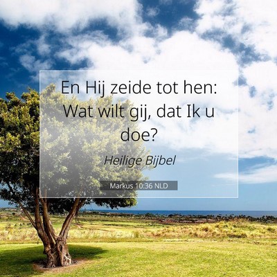 Picture 07 - Markus 10:36 NLD - En Hij zeide tot hen: Wat wilt gij, dat Ik u - Bible Verse Picture