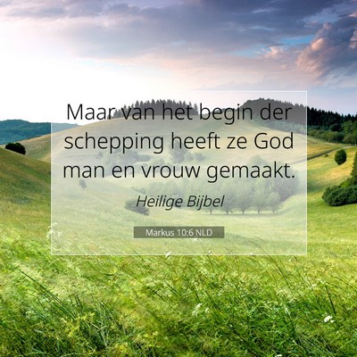 Picture 07 - Markus 10:6 NLD - Maar van het begin der schepping heeft ze God man - Bible Verse Picture