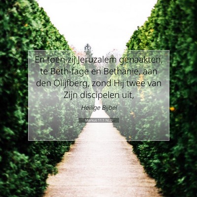 Picture 07 - Markus 11:1 NLD - En toen zij Jeruzalem genaakten, te Beth-fage en - Bible Verse Picture