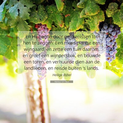 Picture 07 - Markus 12:1 NLD - En Hij begon door gelijkenissen tot hen te - Bible Verse Picture