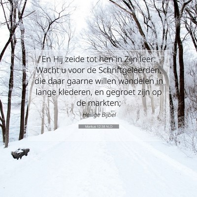 Picture 07 - Markus 12:38 NLD - En Hij zeide tot hen in Zijn leer: Wacht u voor - Bible Verse Picture
