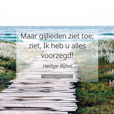 Picture 07 - Markus 13:23 NLD - Maar gijlieden ziet toe; ziet, Ik heb u alles - Bible Verse Picture