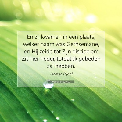 Picture 07 - Markus 14:32 NLD - En zij kwamen in een plaats, welker naam was - Bible Verse Picture