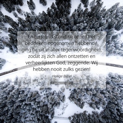 Picture 07 - Markus 2:12 NLD - En terstond stond hij op, en het beddeken - Bible Verse Picture