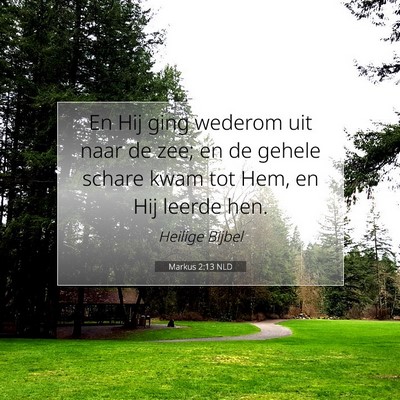 Picture 07 - Markus 2:13 NLD - En Hij ging wederom uit naar de zee; en de gehele - Bible Verse Picture