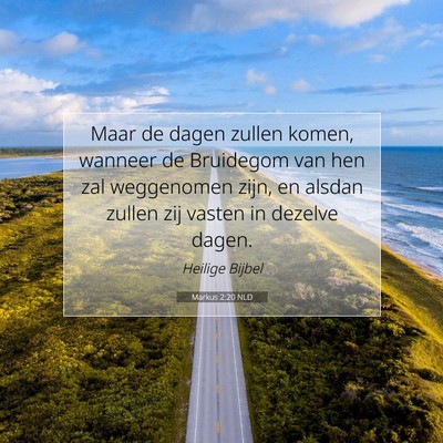 Picture 07 - Markus 2:20 NLD - Maar de dagen zullen komen, wanneer de Bruidegom - Bible Verse Picture
