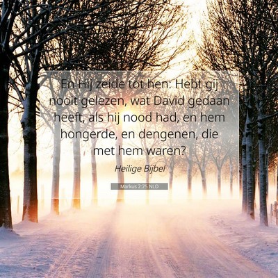 Picture 07 - Markus 2:25 NLD - En Hij zeide tot hen: Hebt gij nooit gelezen, wat - Bible Verse Picture