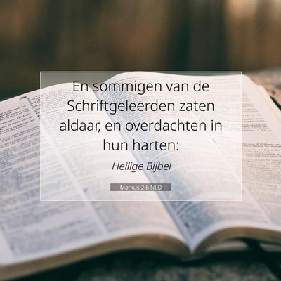 Picture 07 - Markus 2:6 NLD - En sommigen van de Schriftgeleerden zaten aldaar, - Bible Verse Picture