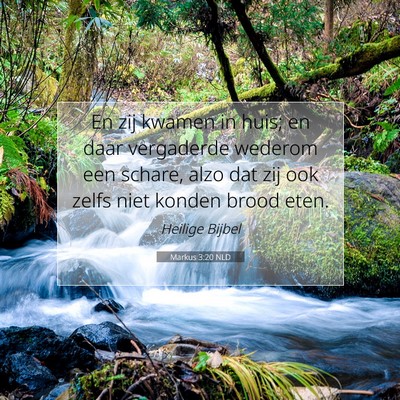 Picture 07 - Markus 3:20 NLD - En zij kwamen in huis; en daar vergaderde wederom - Bible Verse Picture