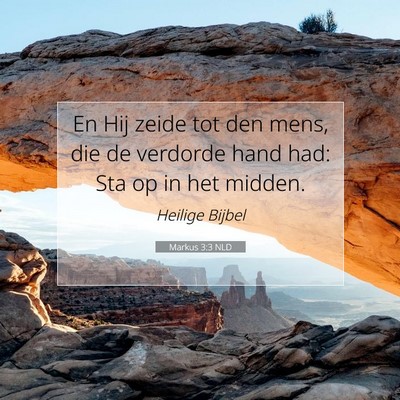 Picture 07 - Markus 3:3 NLD - En Hij zeide tot den mens, die de verdorde hand - Bible Verse Picture