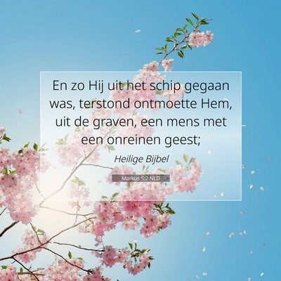 Picture 07 - Markus 5:2 NLD - En zo Hij uit het schip gegaan was, terstond - Bible Verse Picture