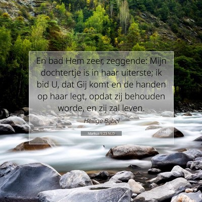 Picture 07 - Markus 5:23 NLD - En bad Hem zeer, zeggende: Mijn dochtertje is in - Bible Verse Picture