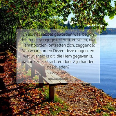 Picture 07 - Markus 6:2 NLD - En als het sabbat geworden was, begon Hij in de - Bible Verse Picture