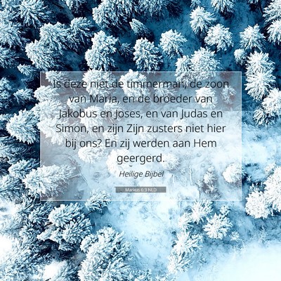 Picture 07 - Markus 6:3 NLD - Is deze niet de timmerman, de zoon van Maria, en - Bible Verse Picture