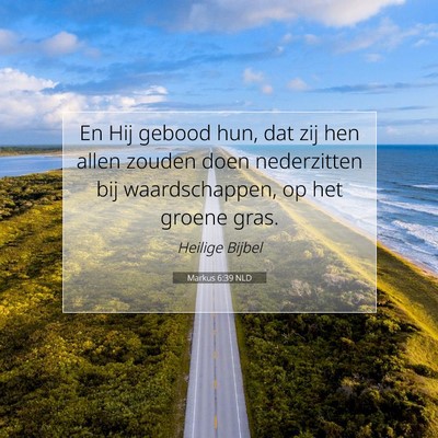 Picture 07 - Markus 6:39 NLD - En Hij gebood hun, dat zij hen allen zouden doen - Bible Verse Picture