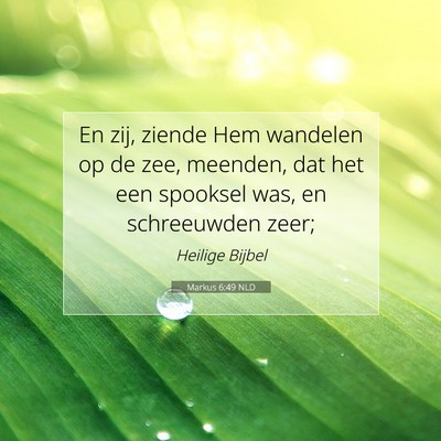 Picture 07 - Markus 6:49 NLD - En zij, ziende Hem wandelen op de zee, meenden, - Bible Verse Picture