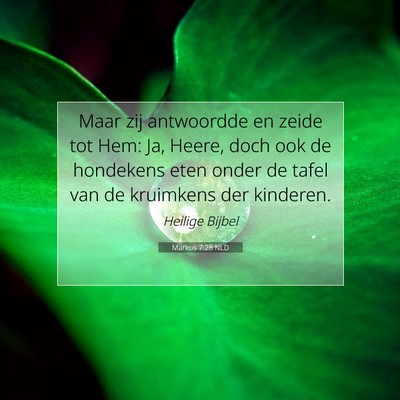 Picture 07 - Markus 7:28 NLD - Maar zij antwoordde en zeide tot Hem: Ja, Heere, - Bible Verse Picture