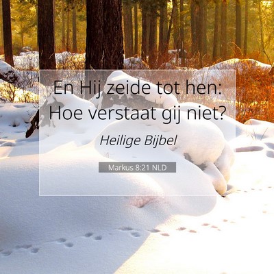 Picture 07 - Markus 8:21 NLD - En Hij zeide tot hen: Hoe verstaat gij - Bible Verse Picture
