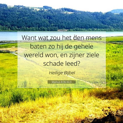 Picture 07 - Markus 8:36 NLD - Want wat zou het den mens baten zo hij de gehele - Bible Verse Picture