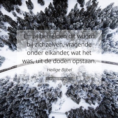 Picture 07 - Markus 9:10 NLD - En zij behielden dit woord bij zichzelven, - Bible Verse Picture