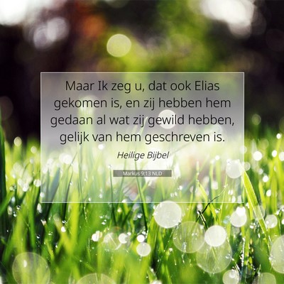 Picture 07 - Markus 9:13 NLD - Maar Ik zeg u, dat ook Elias gekomen is, en zij - Bible Verse Picture