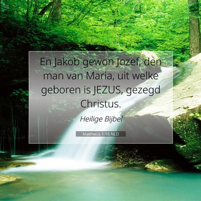 Picture 07 - Mattheüs 1:16 NLD - En Jakob gewon Jozef, den man van Maria, uit - Bible Verse Picture