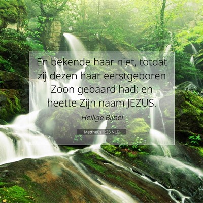 Picture 07 - Mattheüs 1:25 NLD - En bekende haar niet, totdat zij dezen haar - Bible Verse Picture
