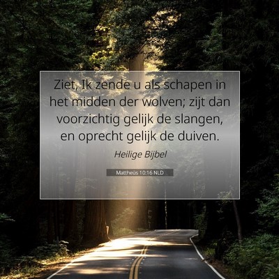 Picture 07 - Mattheüs 10:16 NLD - Ziet, Ik zende u als schapen in het midden der - Bible Verse Picture