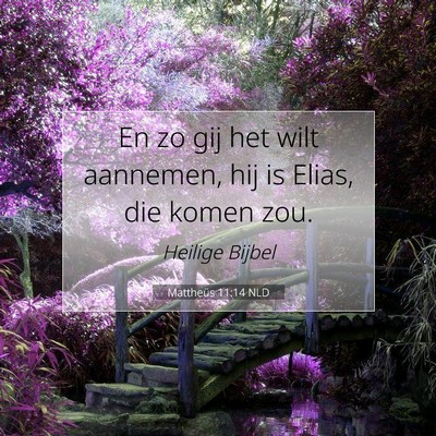 Picture 07 - Mattheüs 11:14 NLD - En zo gij het wilt aannemen, hij is Elias, die - Bible Verse Picture