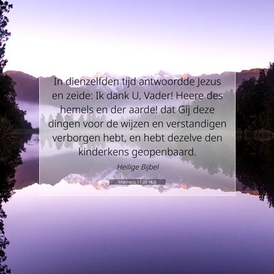 Picture 07 - Mattheüs 11:25 NLD - In dienzelfden tijd antwoordde Jezus en zeide: Ik - Bible Verse Picture
